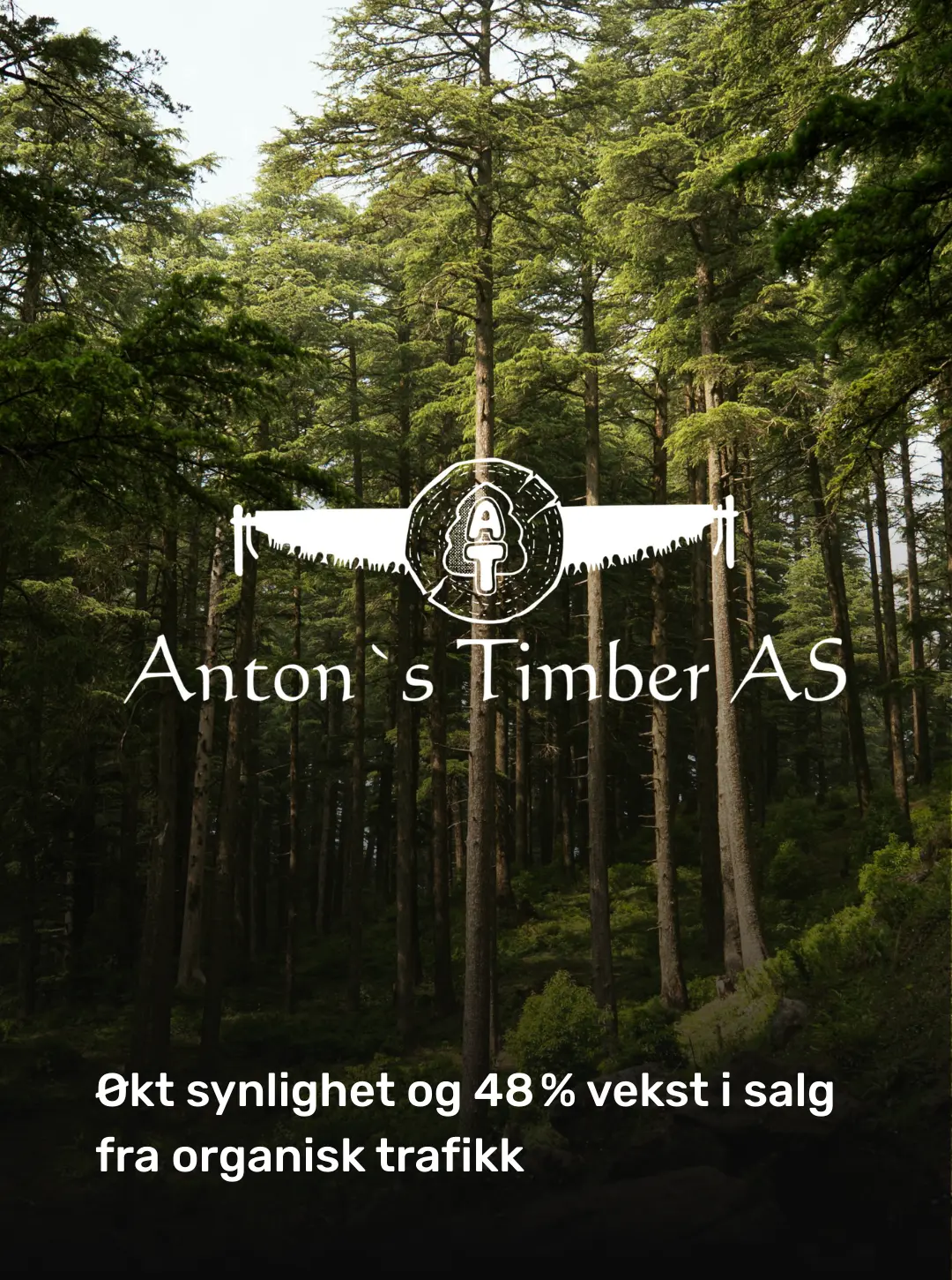 Antons Timber: material original del cliente sobre mayor visibilidad y un crecimiento del 48 por ciento en ventas procedentes del tráfico orgánico.